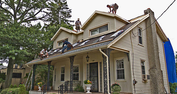 Best Flat Roof Repair Services  in Llano Grande, TX