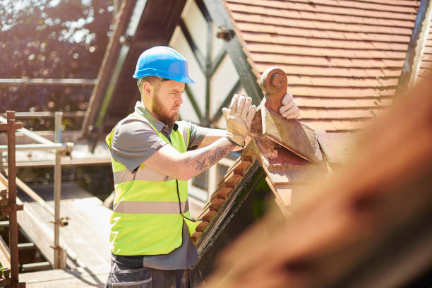 Best Flat Roof Repair Services  in Llano Grande, TX
