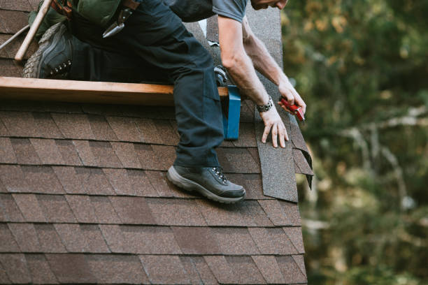 Professional Roofing Contractor in Llano Grande, TX